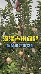 滴灌老出问题，智慧水务来帮忙